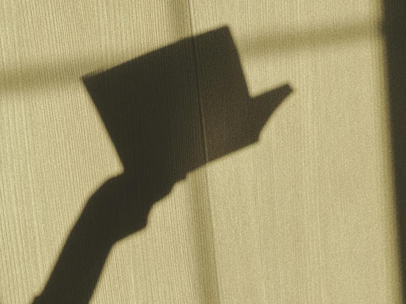 Skyggen af en hånd, der holder en åben bog.