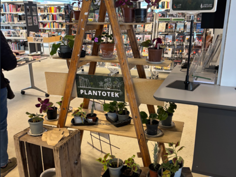 Reol med planter på