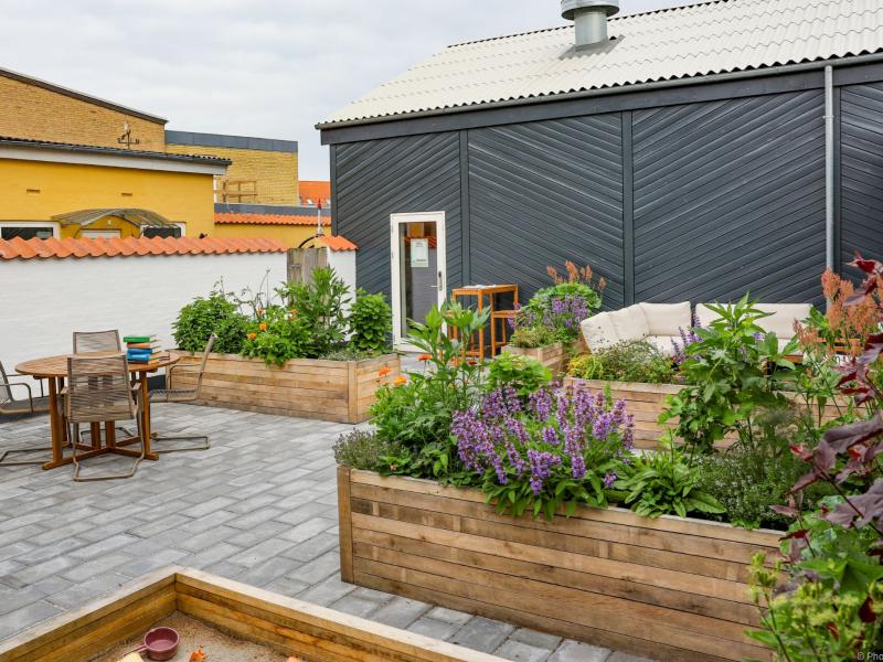 Billede af gårdhaven i blomst