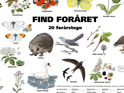 Statens Naturhistoriske Museum