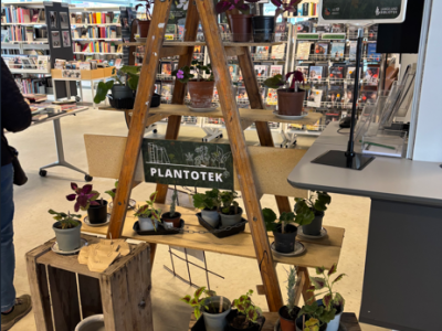 Reol med planter på