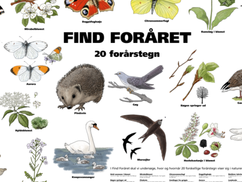 Statens Naturhistoriske Museum