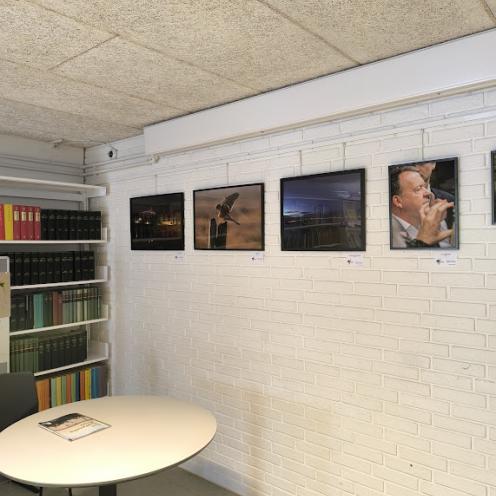 Billede af fotoudstilling på væggene i bibliotekets læsesal