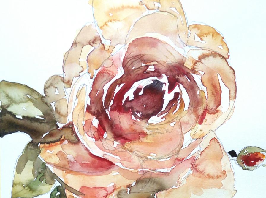 "Rose" af Tilde Carlsen