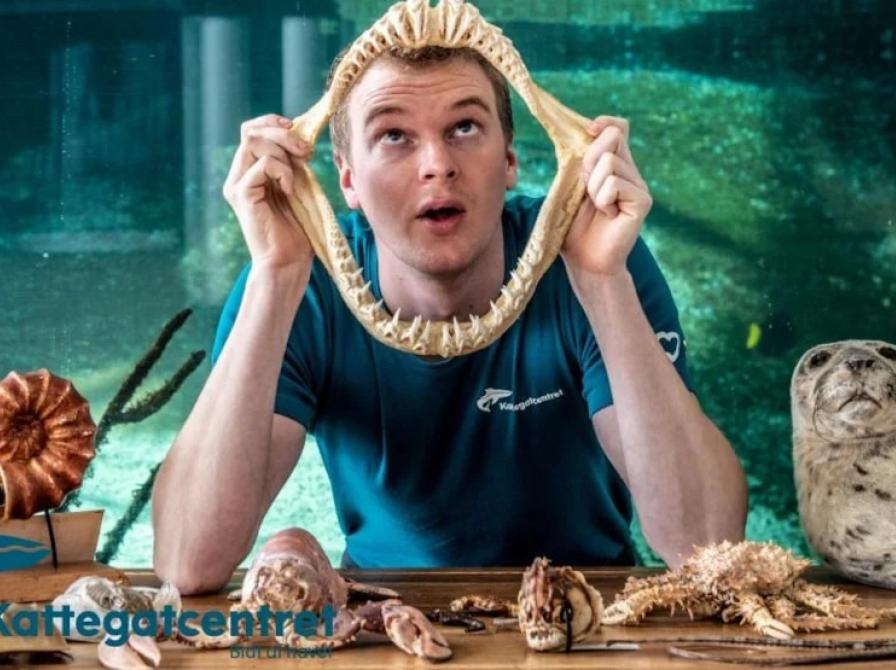 Foto af Biokim og div. havdyr