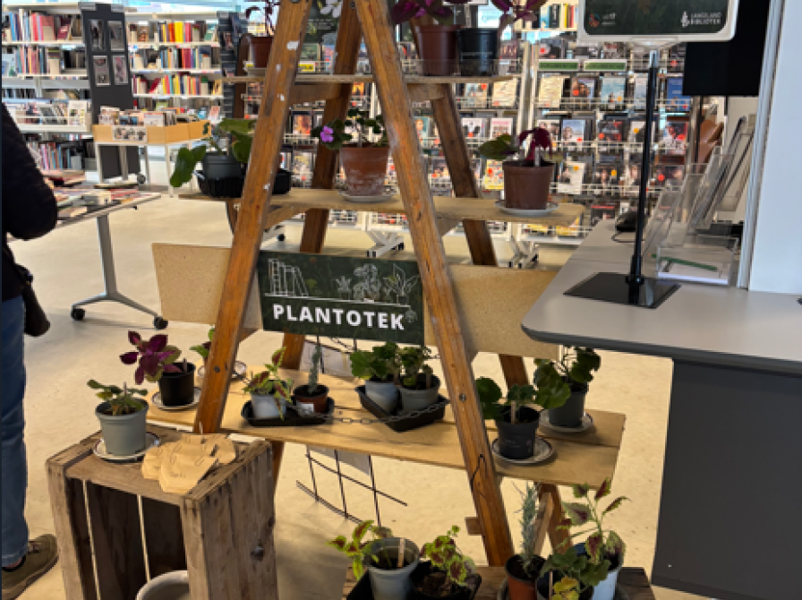 Reol med planter på