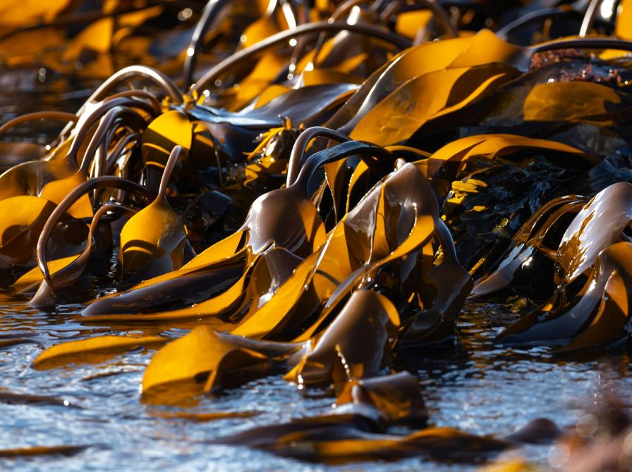 Ben Wicks / Unsplash